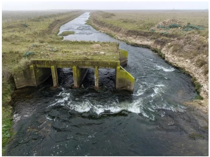 Screenshot_20250712-072349_Drive