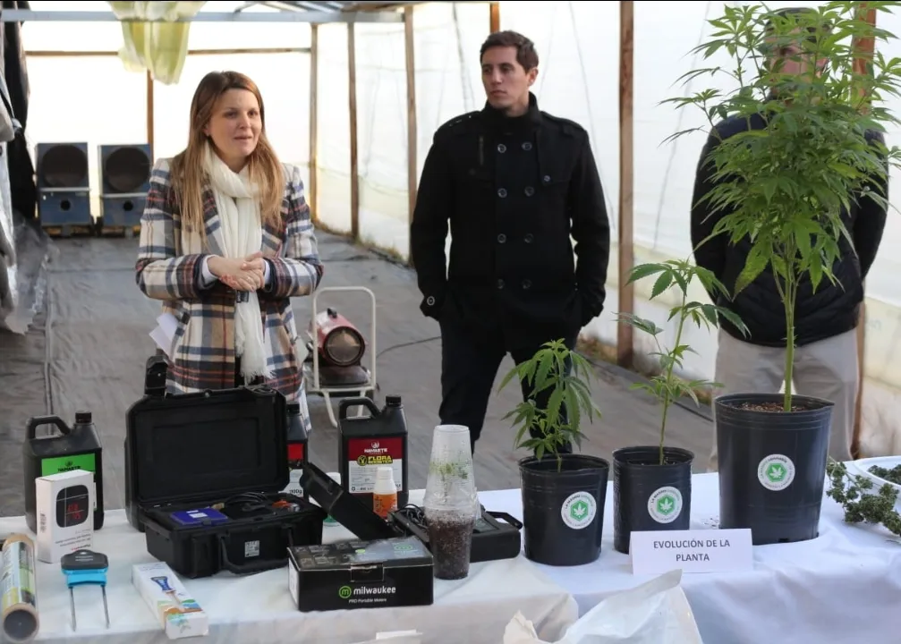 Screenshot_20240629-071811_WhatsApp