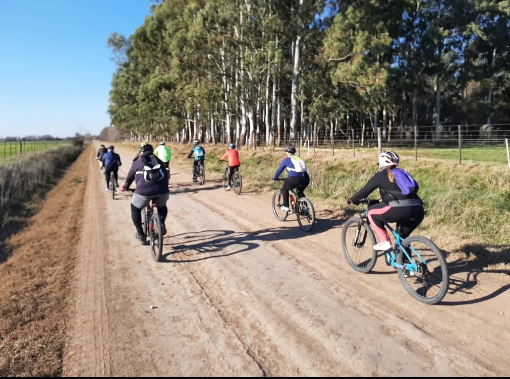 Screenshot_20250811-060521_WhatsApp