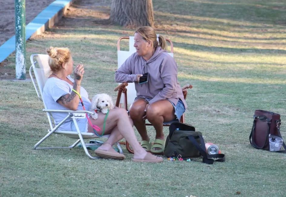 Screenshot_20260119_072408_WhatsApp