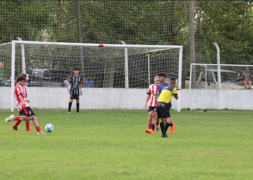 Screenshot_20260329_071917_WhatsApp