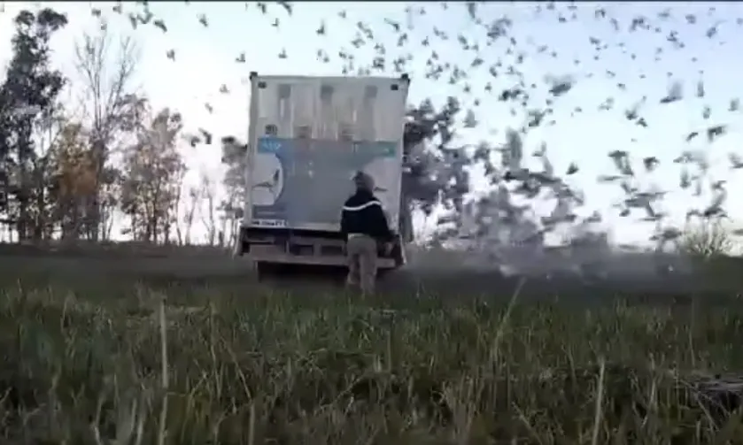 Screenshot_20240702-063204_Facebook