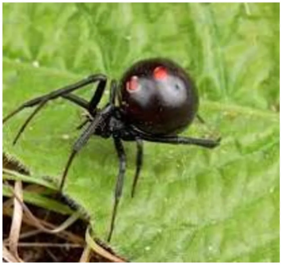 Screenshot_20250118-060246_Microsoft 365 (Office)