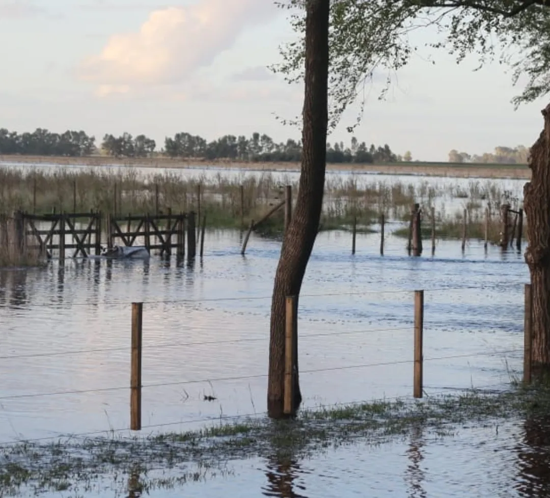 Screenshot_20250309-070342_WhatsApp