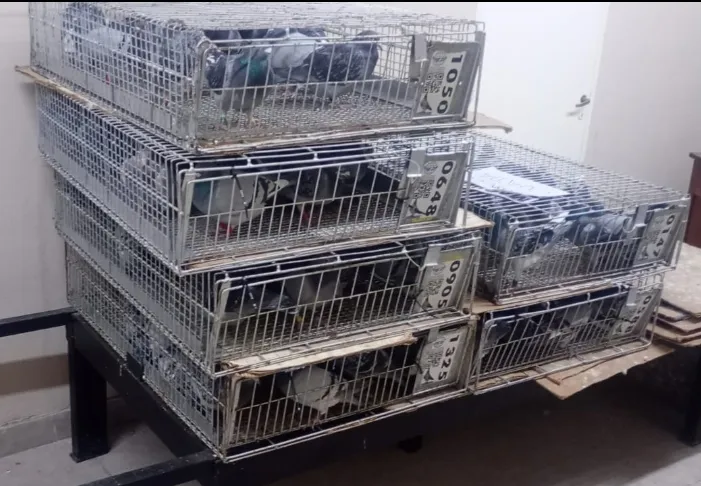 Screenshot_20240912-105049_WhatsApp