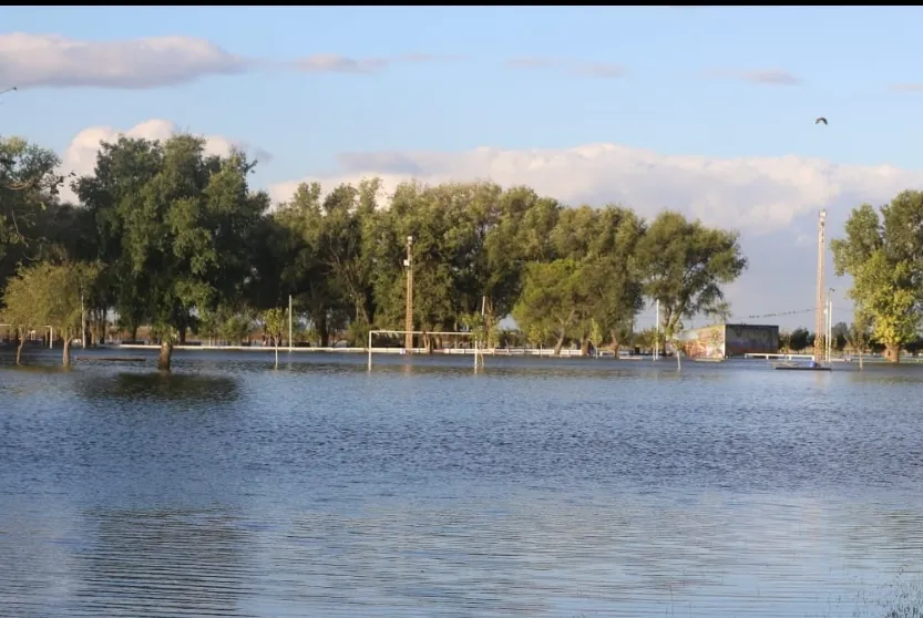 Screenshot_20250309-070556_WhatsApp