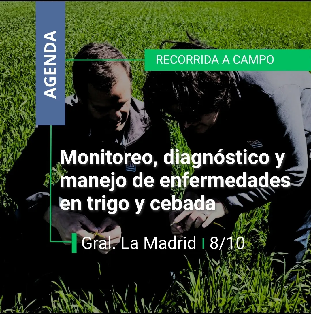 Screenshot_20251007-070204_WhatsApp