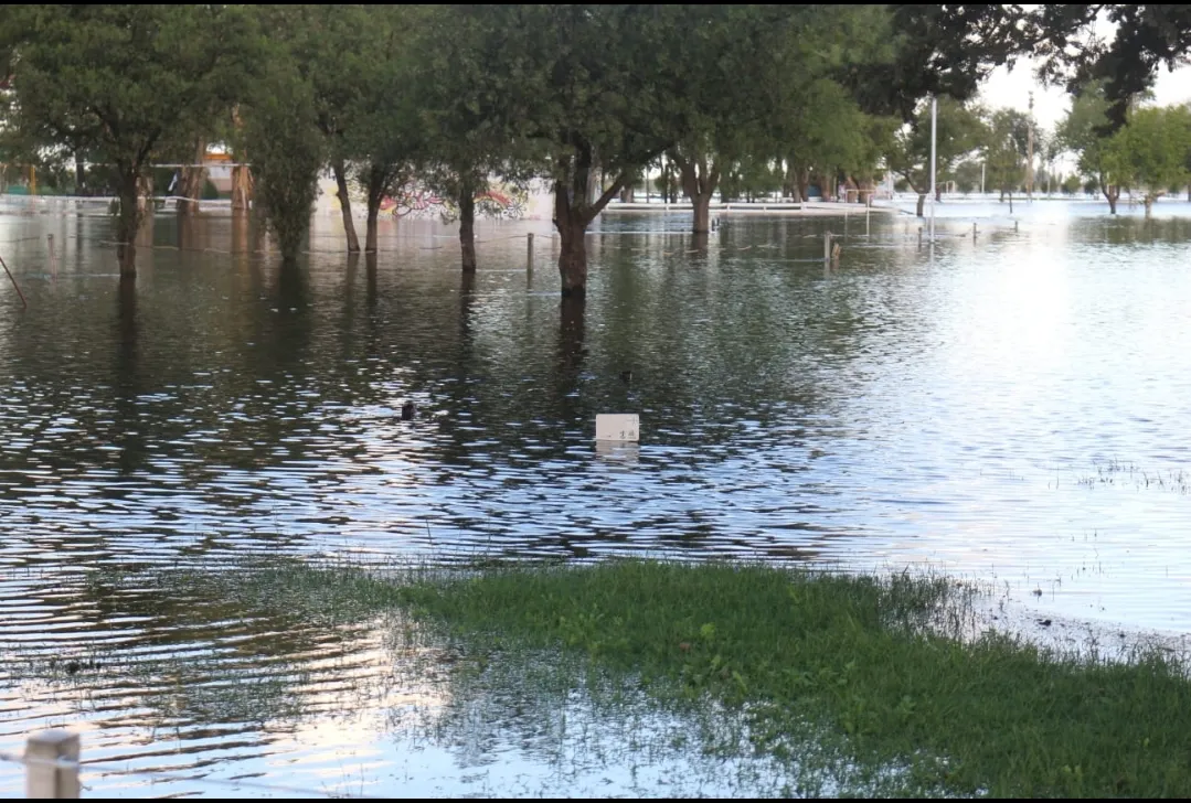 Screenshot_20250309-070222_WhatsApp