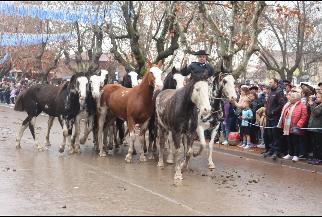 Screenshot_20250714-065102_WhatsApp