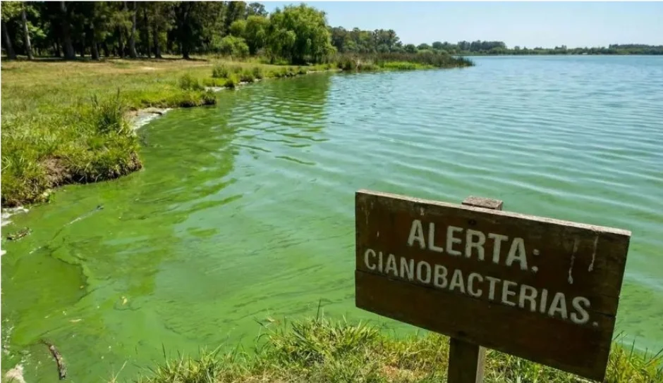 Screenshot_20260307_033851_Docs