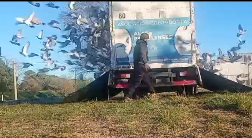 Screenshot_20250911-043840_WhatsApp