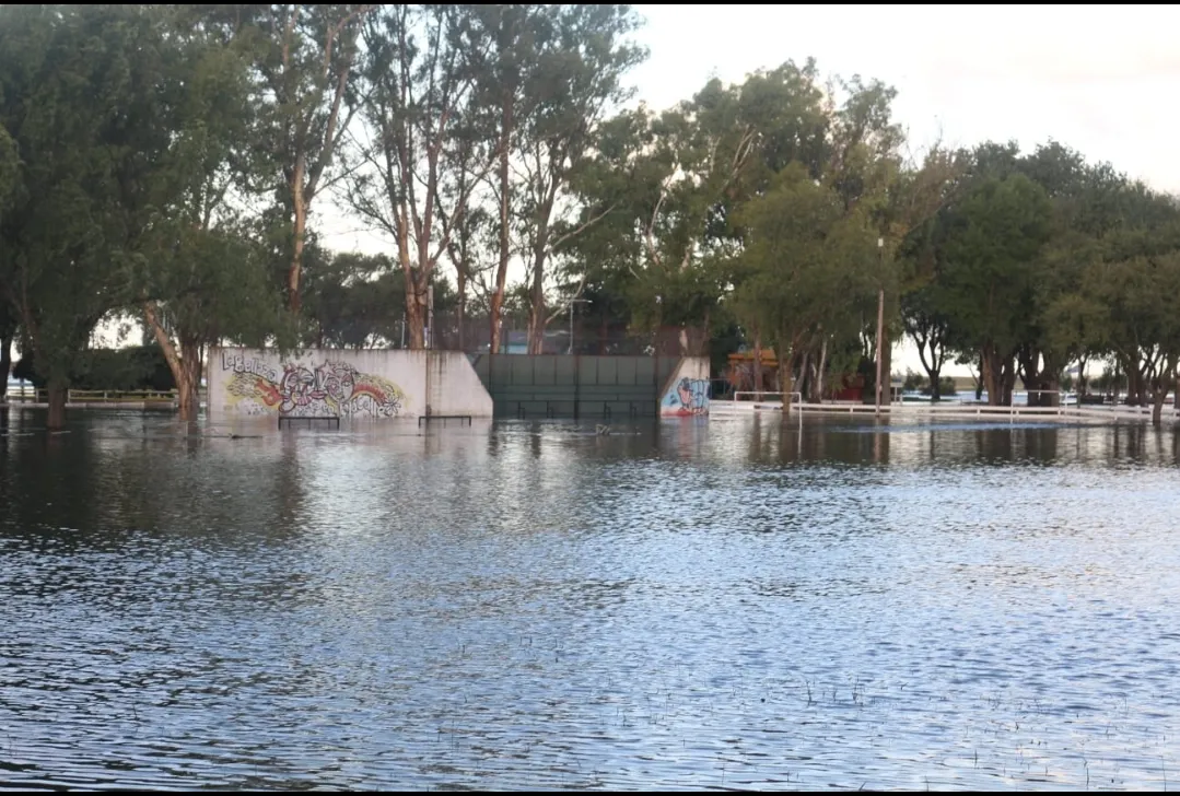 Screenshot_20250309-070418_WhatsApp