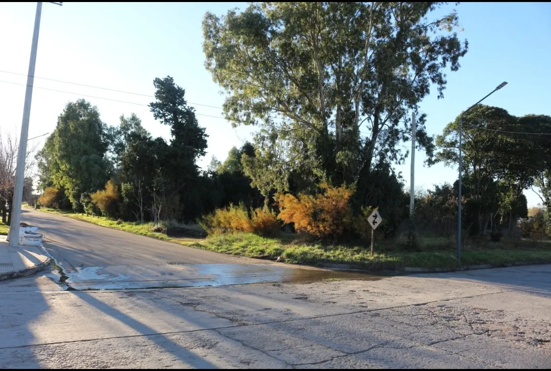 Screenshot_20250619-055527_WhatsApp