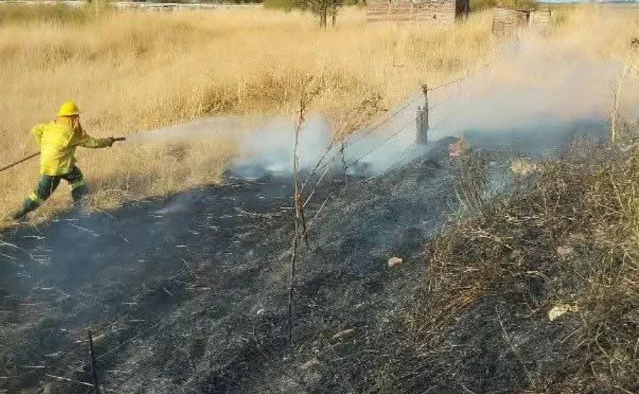 Screenshot_20260211_070653_Facebook