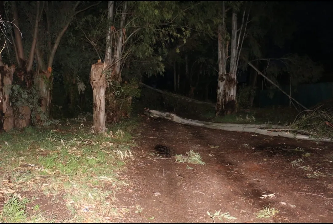 Screenshot_20251015-195735_WhatsApp