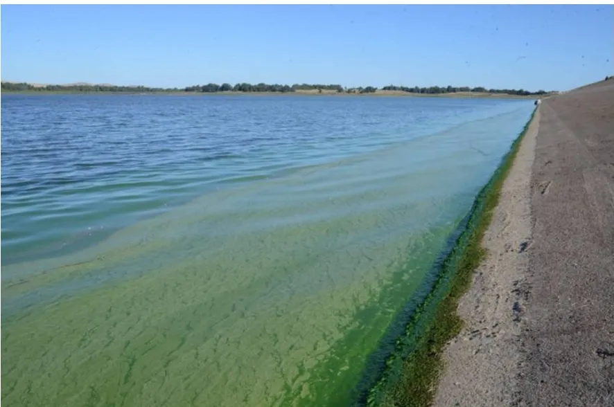 Screenshot_20251012-071114_M365 Copilot