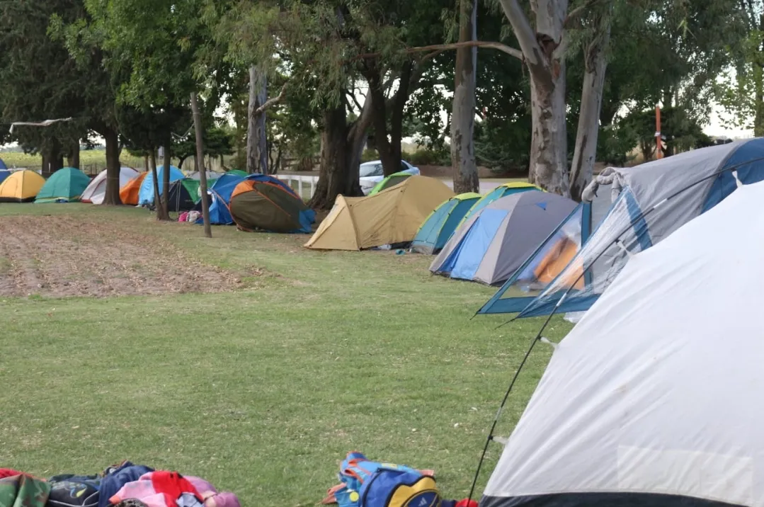 Screenshot_20260211_071635_WhatsApp