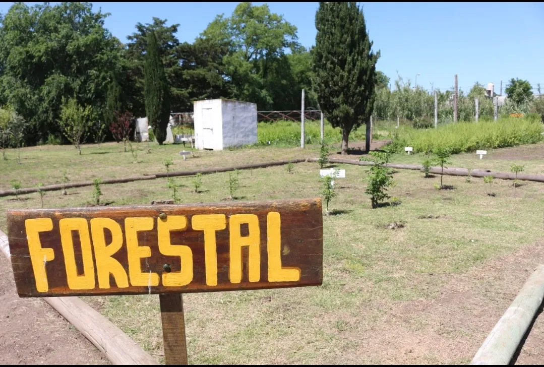 Screenshot_20241115-062905_WhatsApp