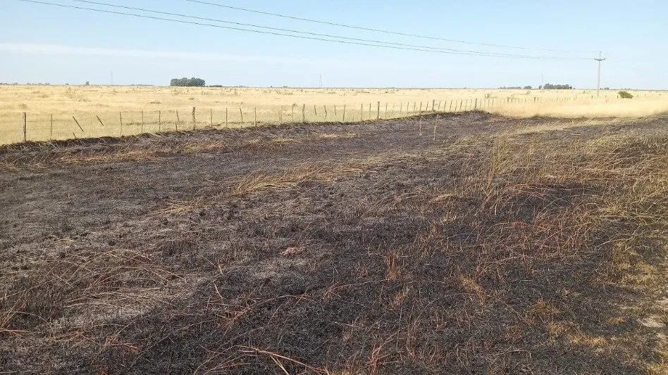 unagen incendio banquina bunge