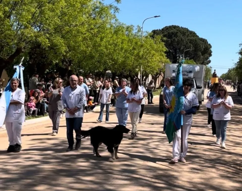 Screenshot_20251019-073333_WhatsApp