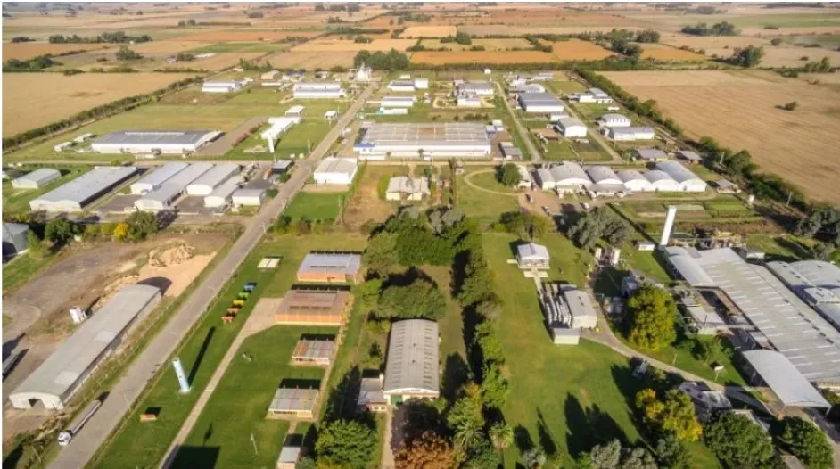 Screenshot_20260204_070117_Docs