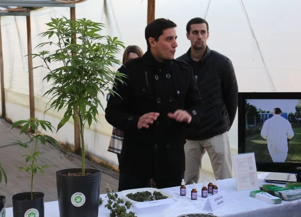 Screenshot_20240629-071956_WhatsApp