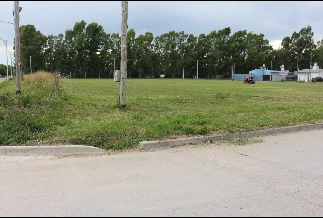 Screenshot_20241213-062750_WhatsApp