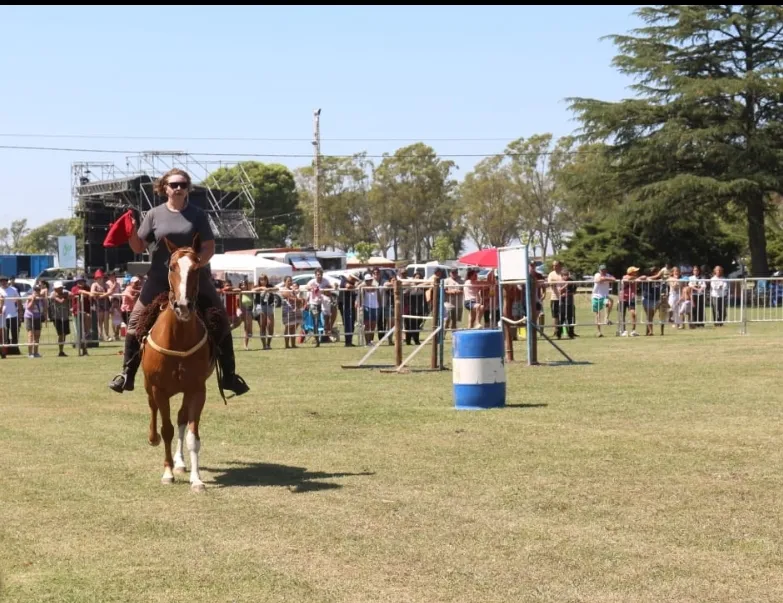 Screenshot_20250216-171408_WhatsApp