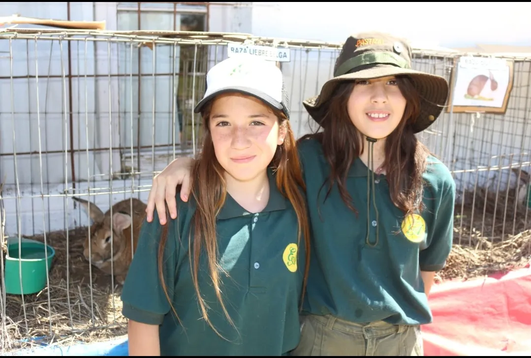 Screenshot_20241115-062738_WhatsApp