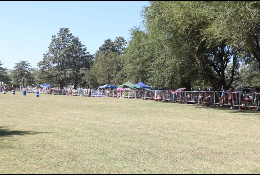 Screenshot_20250216-171603_WhatsApp