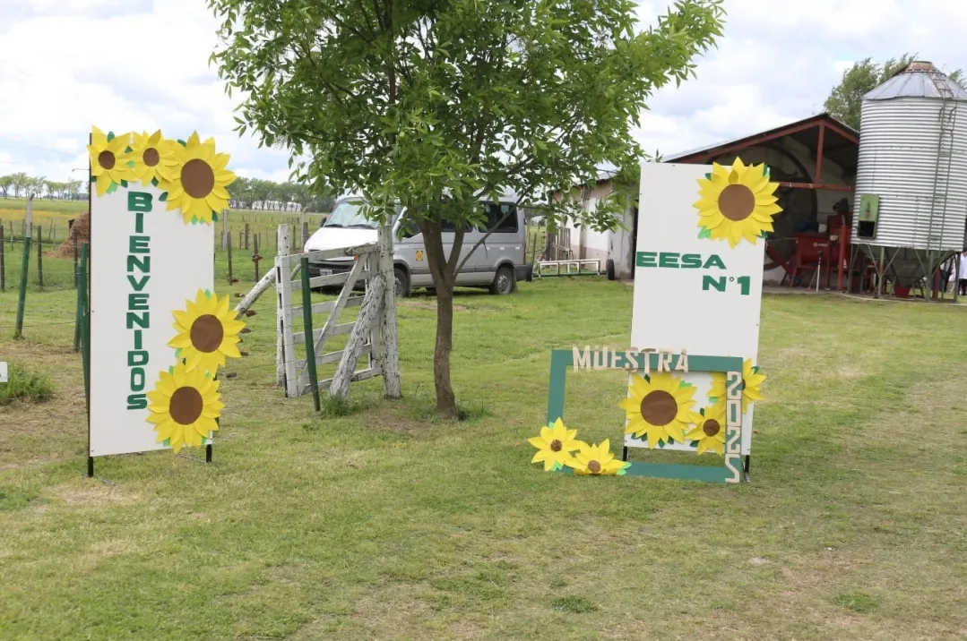 Screenshot_20251031_065008_WhatsApp