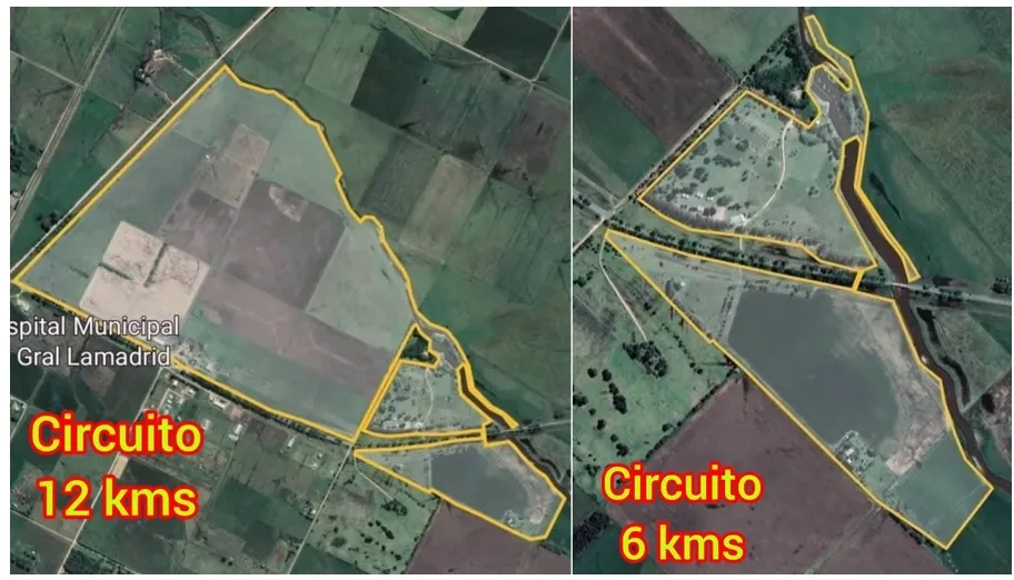 Screenshot_20250314-063655_M365 Copilot