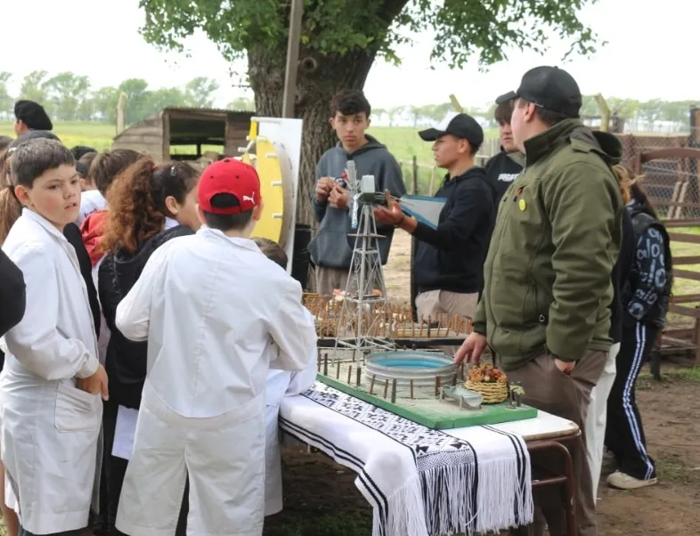 Screenshot_20251031_064605_WhatsApp