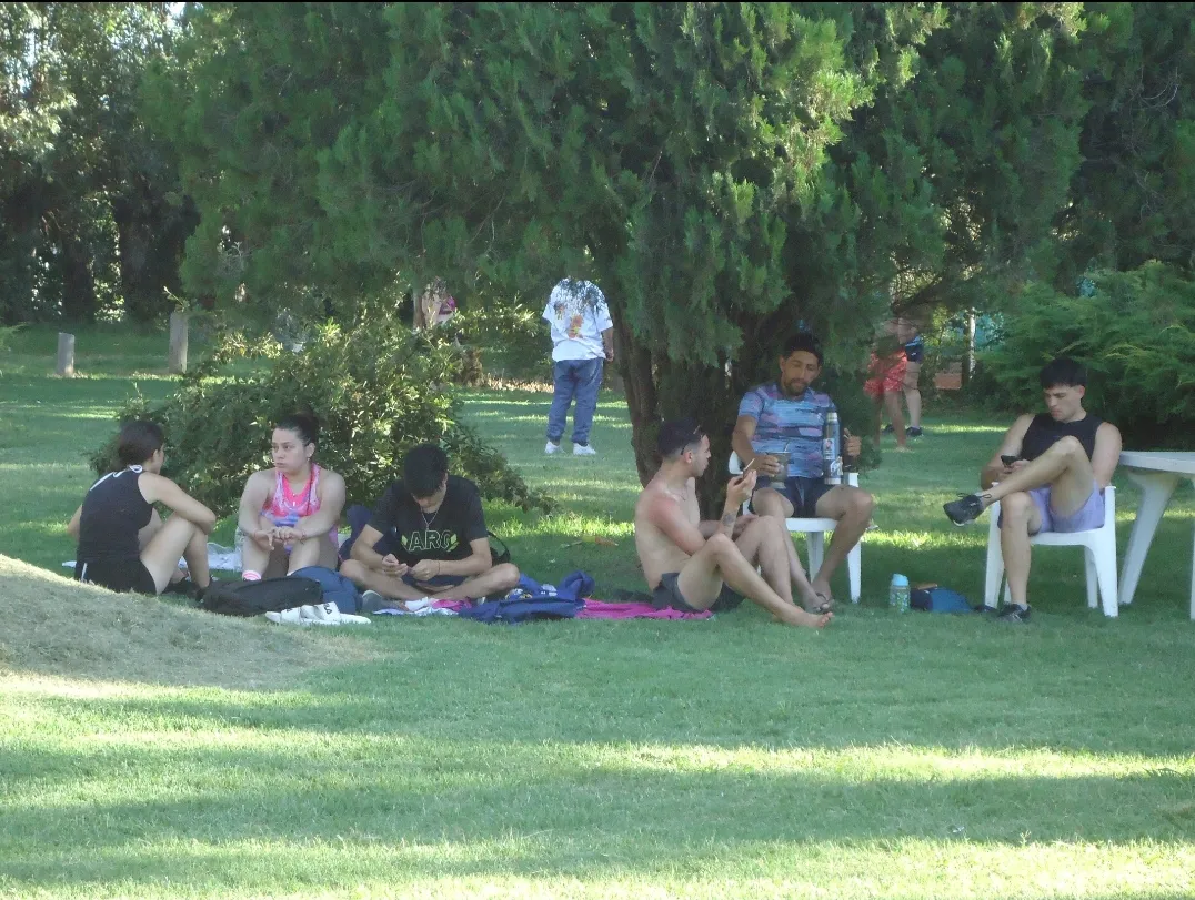 Screenshot_20240121-034929_Photos