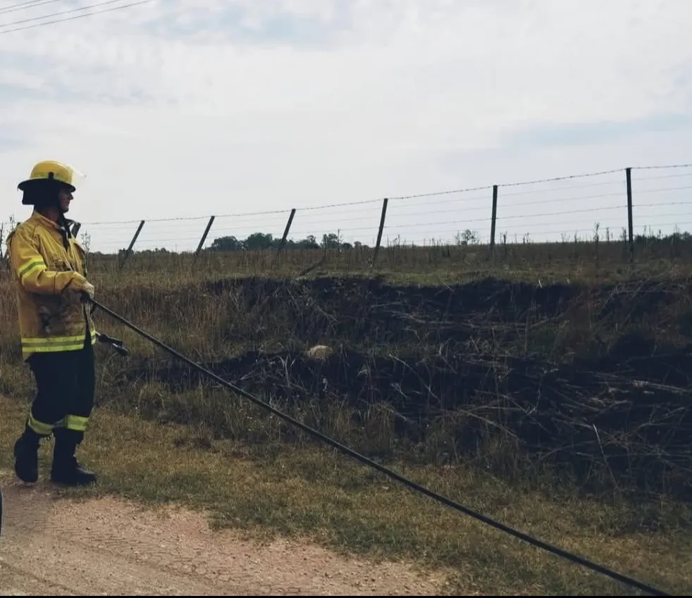 Screenshot_20250210-190857_Facebook