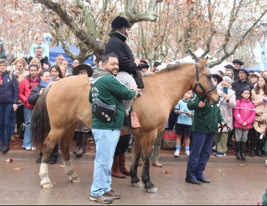 Screenshot_20250714-063831_WhatsApp