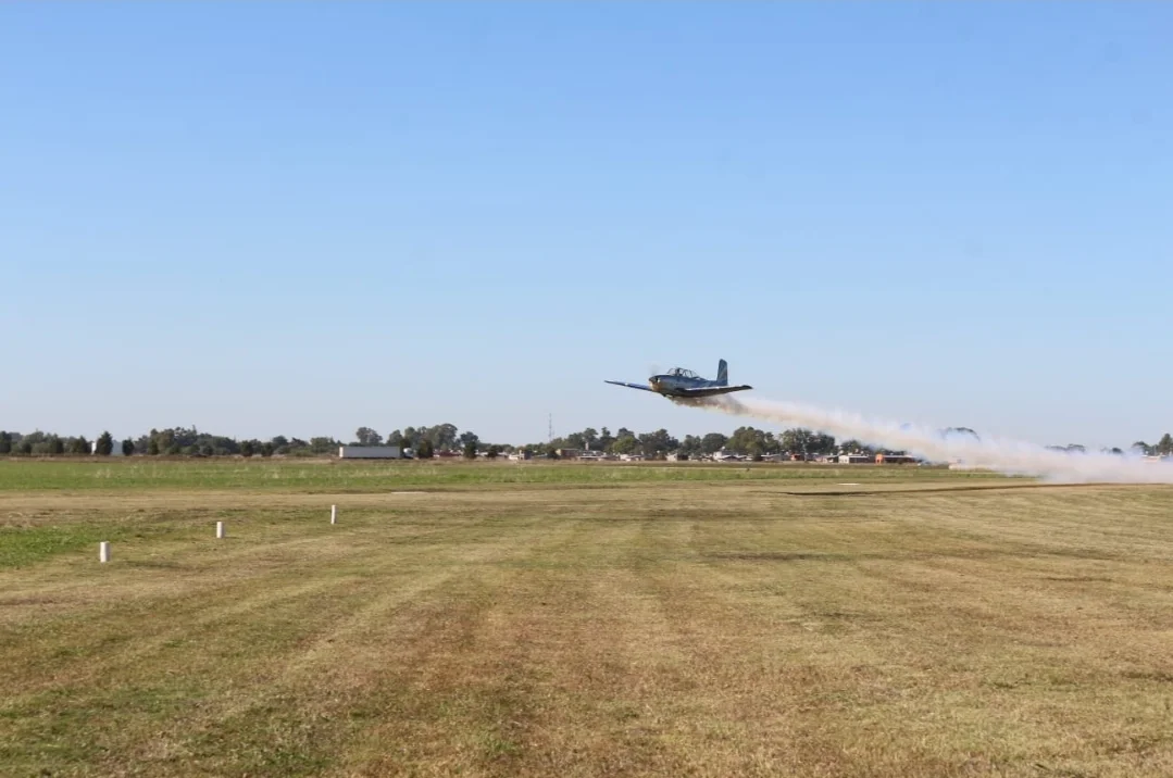 Screenshot_20260328_073259_WhatsApp