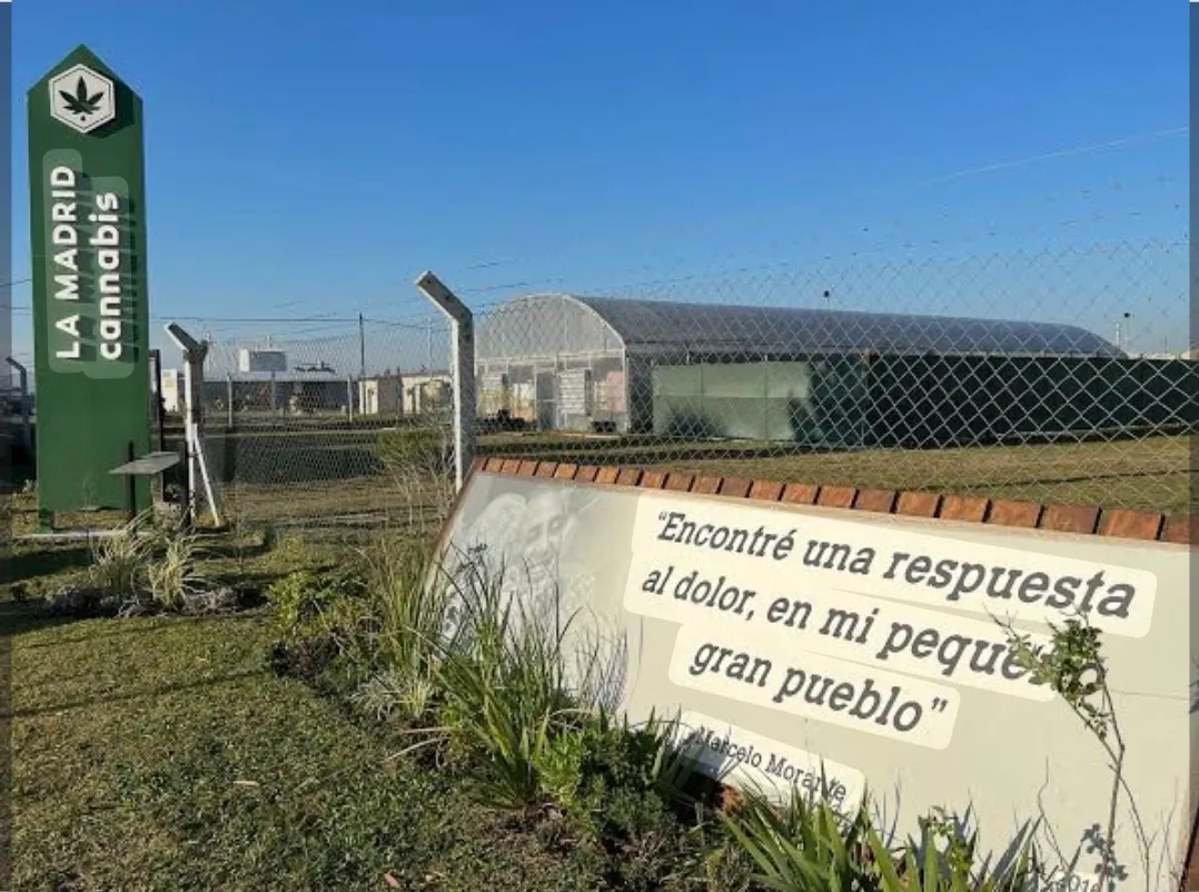 Screenshot_20250911-042608_Google