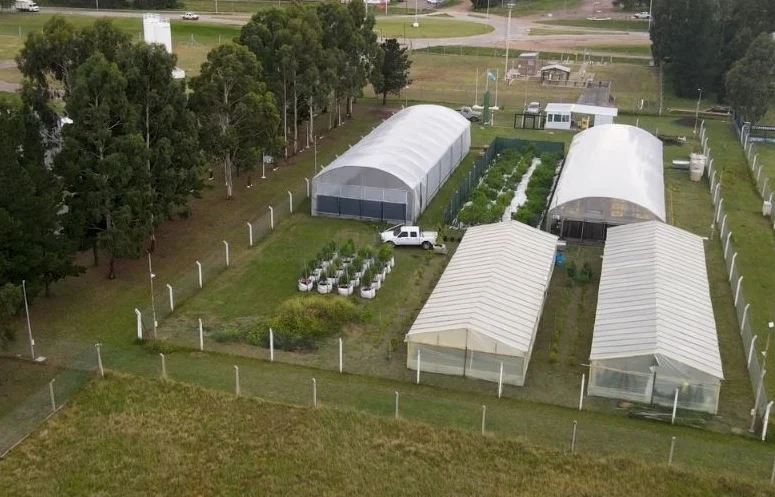 Screenshot_20260311_065746_Instagram