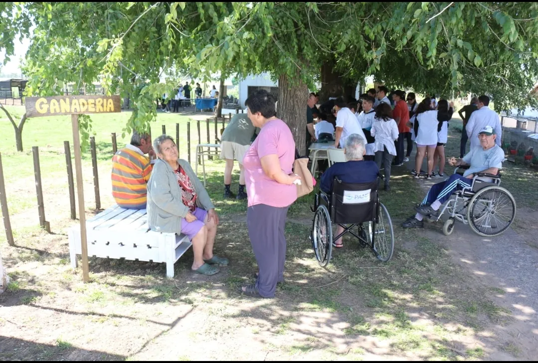 Screenshot_20241115-063341_WhatsApp