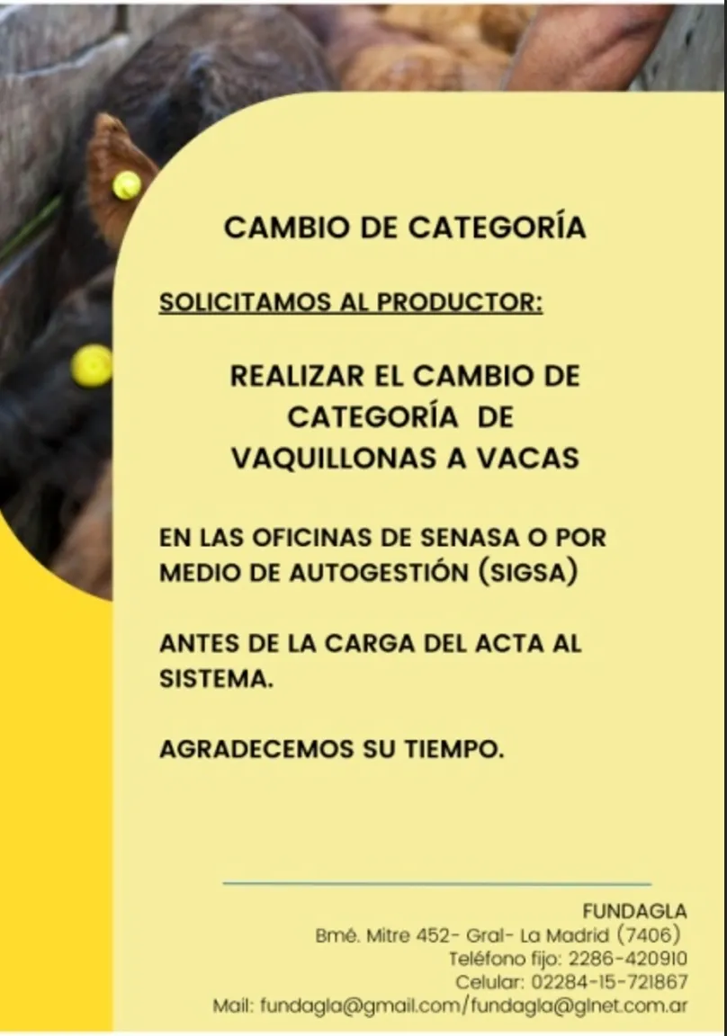 Screenshot_20241015-061814_Microsoft 365 (Office)