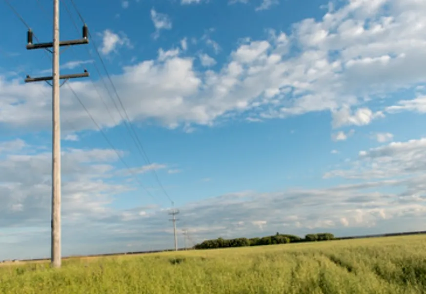 Screenshot_20251125_070736_Google