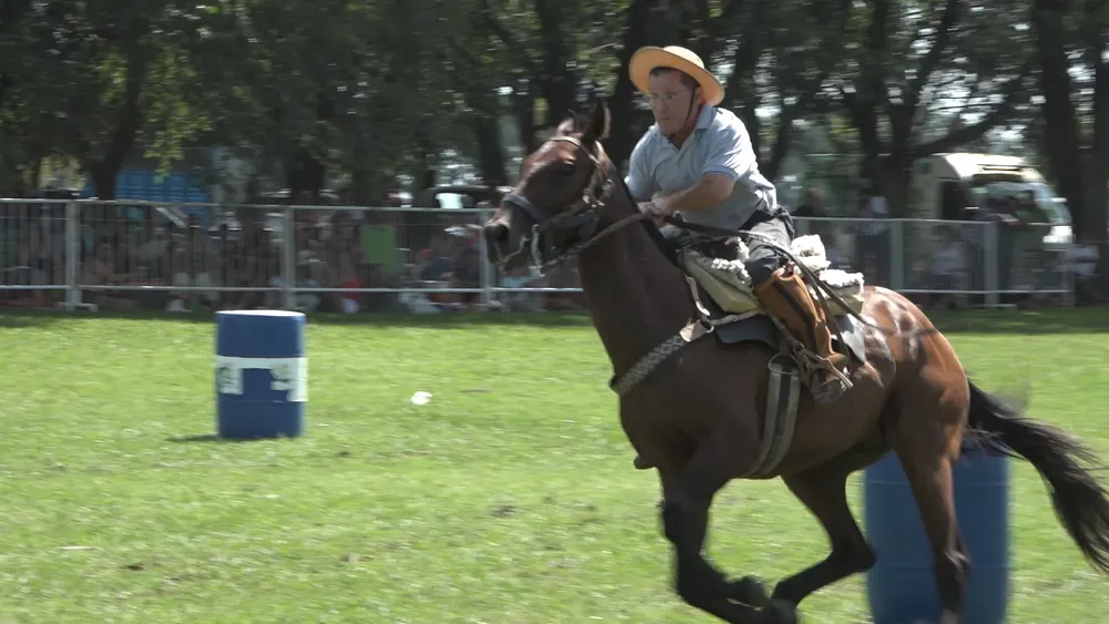 Clip0029.MXF.13_01_41_43.Imagen fija001