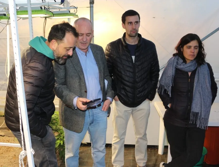 Screenshot_20240629-071544_WhatsApp