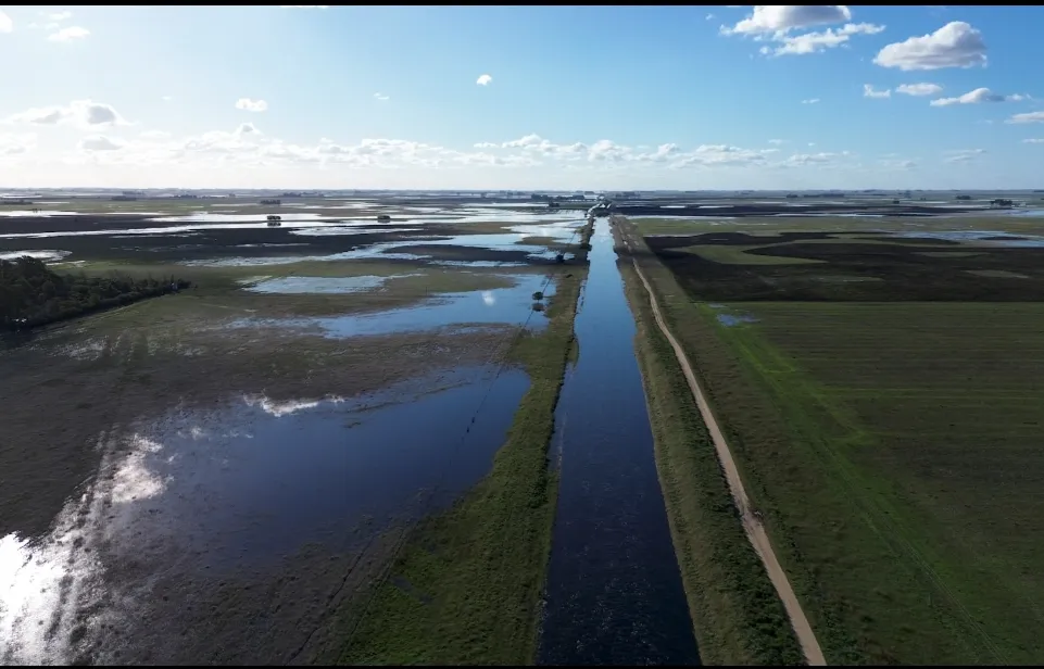 Screenshot_20250611-070405_WhatsApp