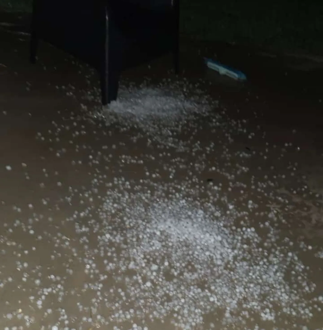 Screenshot_20250203-012125_WhatsApp