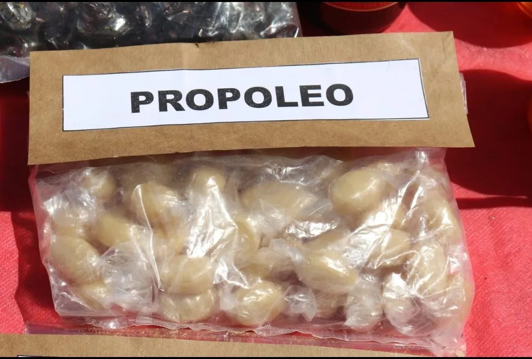 Screenshot_20241115-062639_WhatsApp