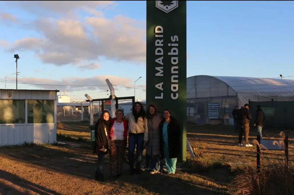 Screenshot_20240629-071634_WhatsApp