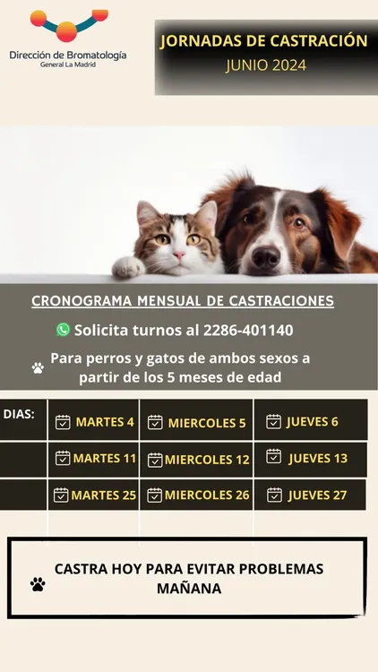 Flyer castraciones (1)