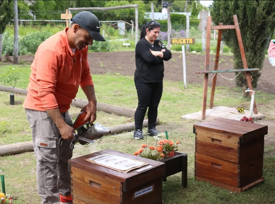 Screenshot_20251031_064840_WhatsApp